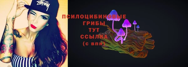 ALPHA-PVP Медвежьегорск