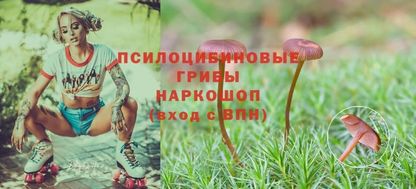ALPHA-PVP Медвежьегорск