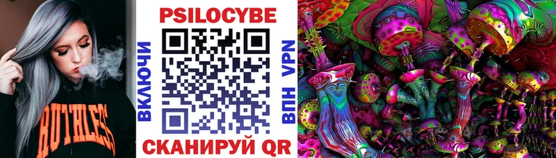 Галлюциногенные грибы Cubensis  MEGA сайт  Ногинск  сколько стоит 