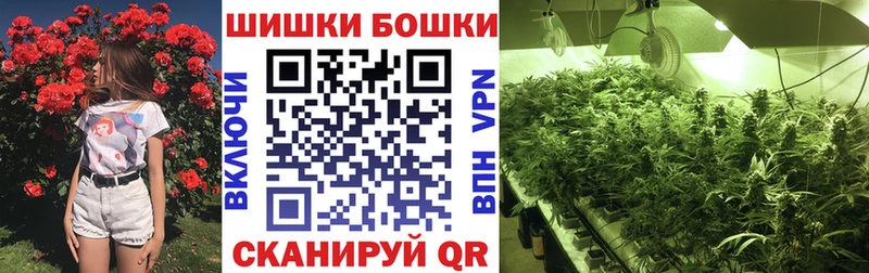 Марихуана сатива Ногинск